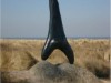 Bild 16