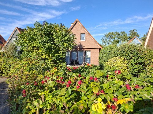 Sommerhus - 3 personer -  - Kiebitzstieg - 27639 - Dorum Neufeld