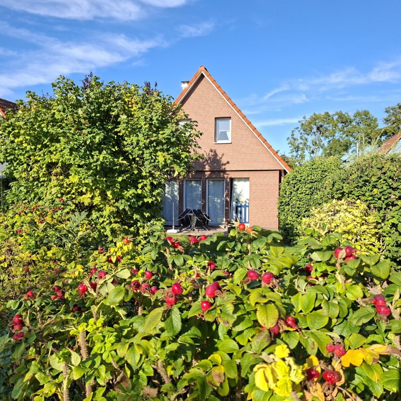 Sommerhus - 3 personer -  - Kiebitzstieg - 27639 - Dorum Neufeld