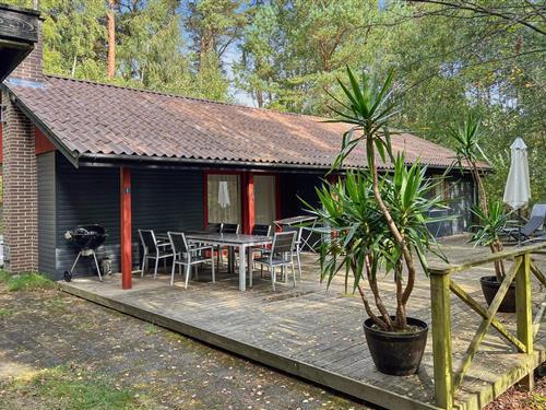 Ferienhaus - 7 Personen -  - Hakkebakkeskogen - Dueodde - 3730 - Nexö