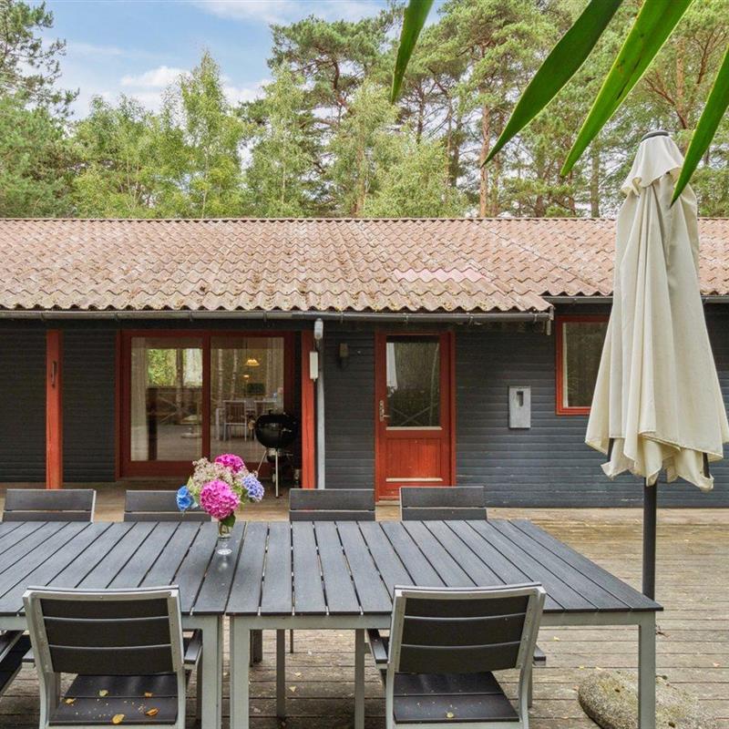 Sommerhus - 7 personer -  - Hakkebakkeskogen - Dueodde - 3730 - Nexø
