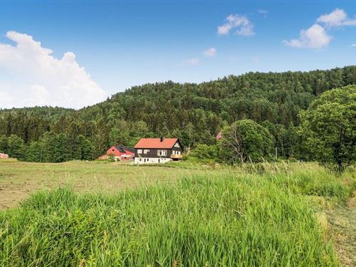 Sommerhus - 8 personer -  - Gamle Songevei - Tvedestrand - 4909 - Songe