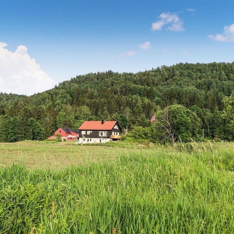 Sommerhus - 8 personer -  - Gamle Songevei - Tvedestrand - 4909 - Songe