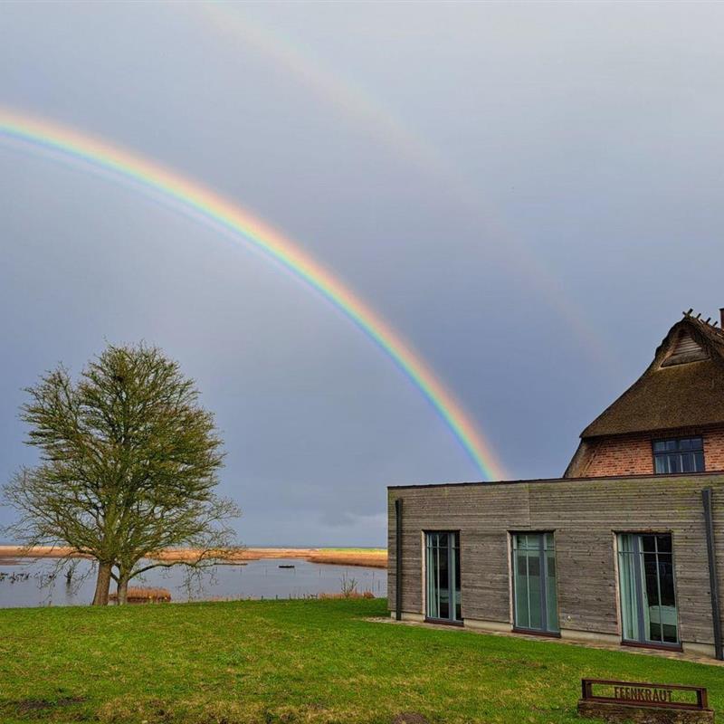 Sommerhus - 8 personer -  - Sandkoppel - 24395 - Nieby