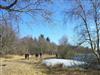Billede 16 - Udsigt over vand