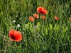 Bild 39 - Aussen