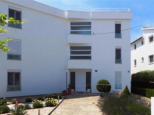 Ferieleilighet - 4 personer -  - Zagrebacka ulica - Sibenik-Pirovac - 22213 - Pirovac