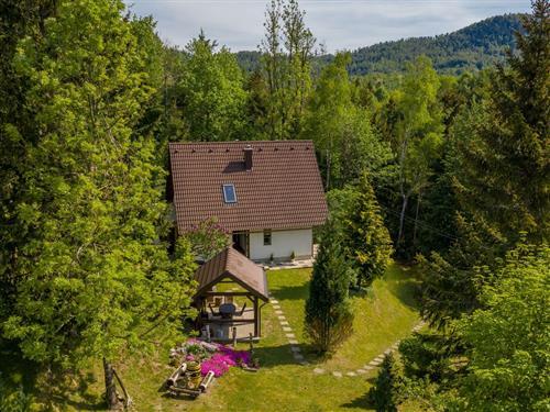 Sommerhus - 5 personer -  - Homer 62, Lokve - 51300 - Delnice