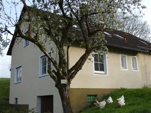 Holiday Home/Apartment - 7 persons -  - Moschendorf - 91327 - Gößweinstein