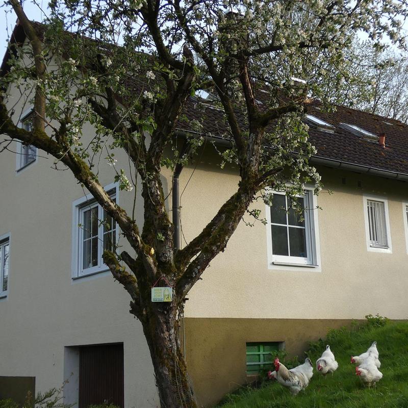 Ferielejlighed - 7 personer -  - Moschendorf - 91327 - Gößweinstein