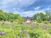 Bild 51