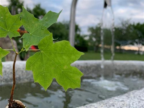 Ferieleilighet - 5 personer -  - Höhhof - 93155 - Hemau