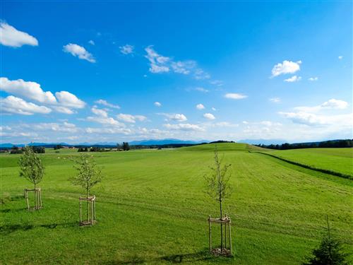 Ferielejlighed - 2 personer -  - Kreuzbergweg - 82544 - Egling