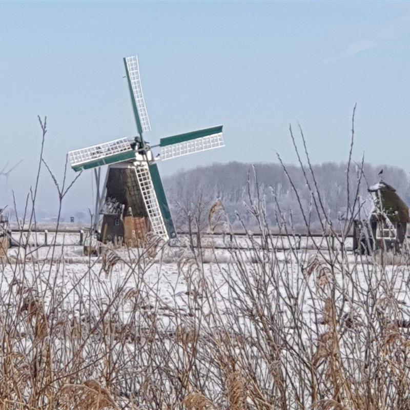 Sommerhus - 4 personer -  - Heinkens Hoek - 26624 - Südbrookmerland