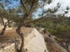 Image 13
