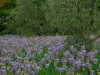 Image 29 - Outside