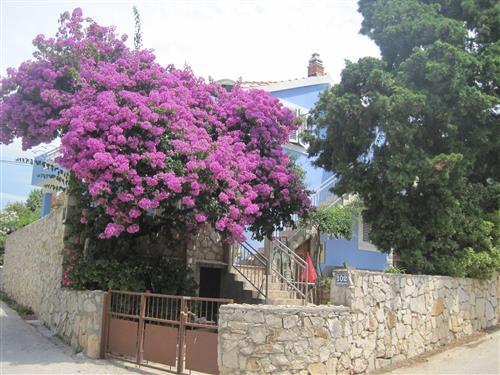 Ferielejlighed - 5 personer -  - Domovinskog rata - 21430 - Maslinica