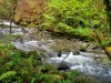 Image 23