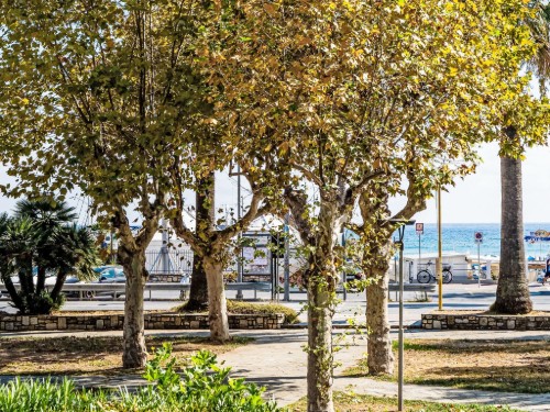 Holiday apartment - 5 persons -  - 17051 - Marina Di Andora