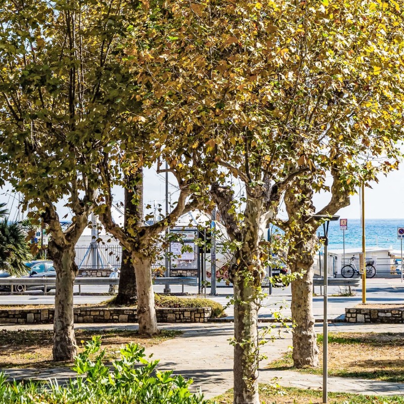 Ferielejlighed - 5 personer -  - 17051 - Marina Di Andora