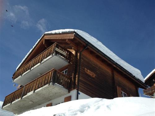 Feriehus / leilighet - 4 personer -  - Postfach - 3914 - Belalp