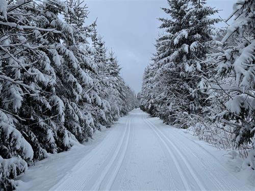Semesteranläggning - 4 personer -  - Auf dem Glockenberg - 38707 - Altenau