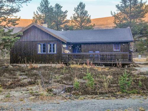 Feriehus / leilighet - 8 personer -  - Furulund - 2669 - Bjorli