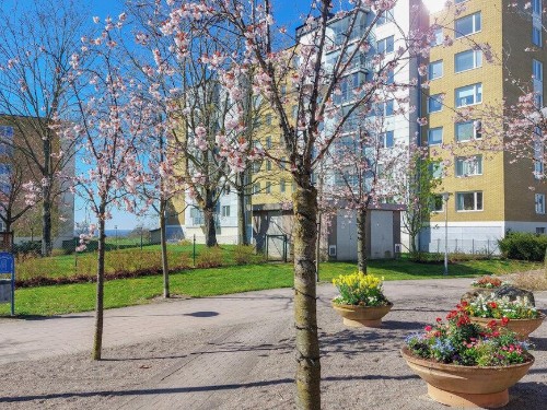 Ferielejlighed - 4 personer -  - Bärnstensgatan - 253 61 - Helsingborg