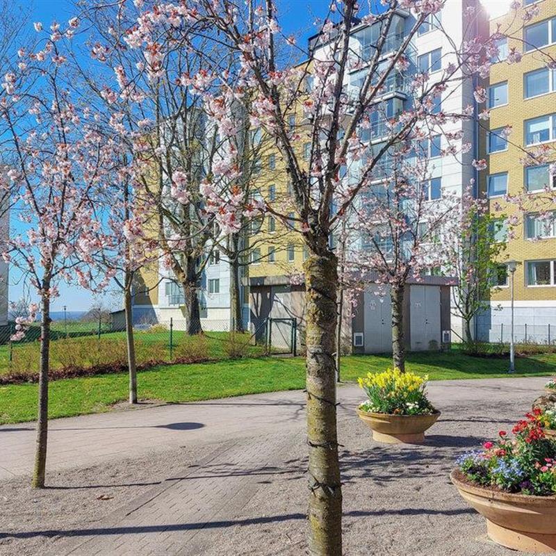 Ferielejlighed - 4 personer -  - Bärnstensgatan - 253 61 - Helsingborg