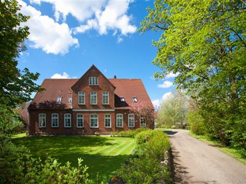 Ferienhaus - 4 Personen -  - Koogchaussee - 25761 - Hedwigenkoog