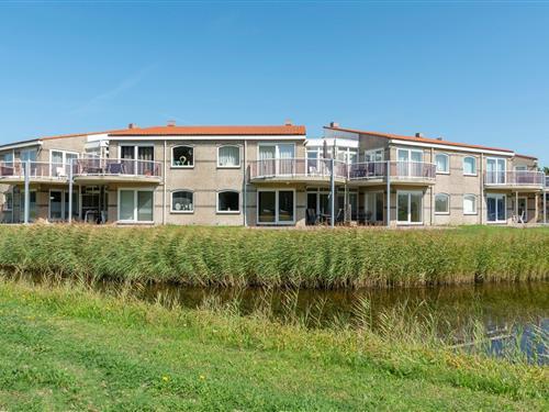 Semesterlägenhet - 4 personer -  - 1787 PM - Julianadorp Aan Zee