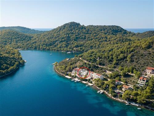 Holiday apartment - 5 persons -  - Put Jurjeve 24, Pasadur - 20290 - Lastovo