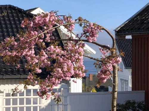  - 8 persons -  - Øvre Damsbakken - Larvik - 3264 - Larvig
