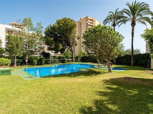 Holiday apartment - 2 persons -  - 04720 - Roquetas De Mar