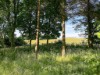 Billede 16 - Ude