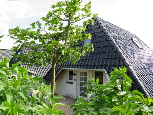Holiday home - 4 persons -  - 27639 - Wurster Nordseeküste, Deu