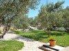 Image 37 - Outside