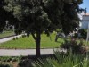 Bild 22
