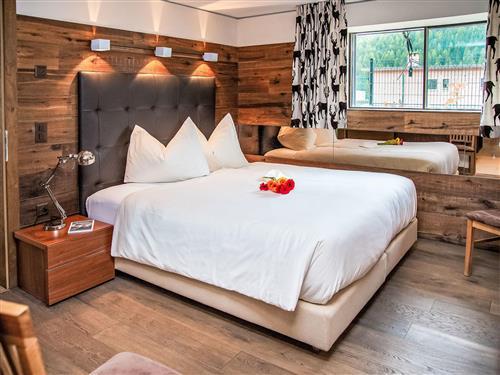 Holiday apartment - 4 persons -  - St. Moritz - 7500