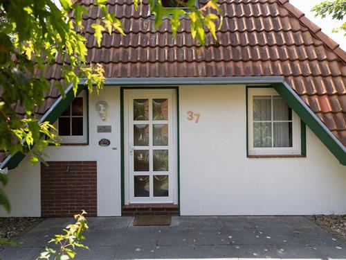 Holiday Home/Apartment - 6 persons -  - Westertill - 27639 - Wurster Nordseeküste