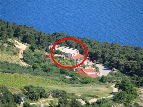 Ferielejlighed - 2 personer -  - Put Police 23, Sveta Nedjelja - 21465 - Jelsa