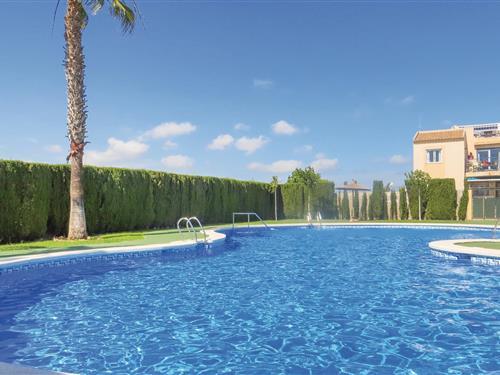 Ferielejlighed - 4 personer -  - Chiva - 03184 - Torrevieja
