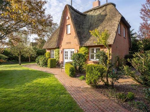 Sommerhus - 6 personer -  - Friesenstraße - 25826 - St. Peter-Ording