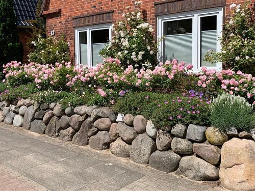 Ferielejlighed - 2 personer -  - Nobiskrüger Allee - 24768 - Rendsburg