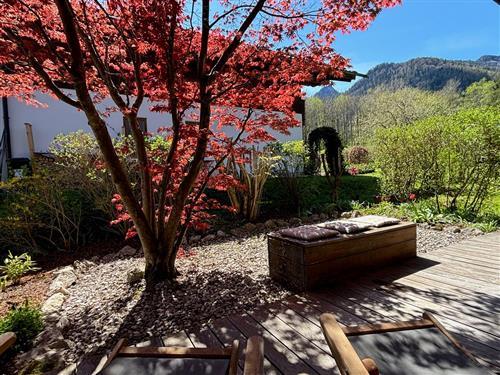 Ferienwohnung - 3 Personen -  - Ulmenweg - 83259 - Schleching