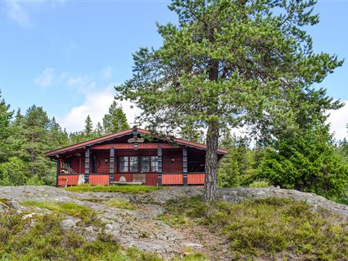 Feriehus / leilighet - 6 personer -  - Holmvassvegen - Kyrkjebygdheia/Nissedal - 3854 - Nissedal