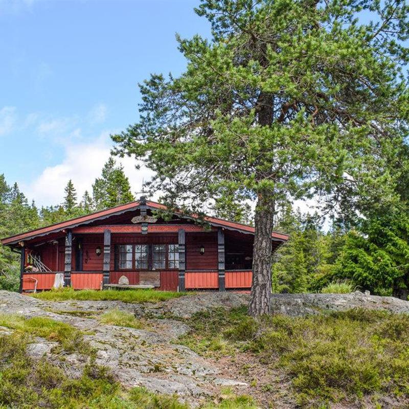 Sommerhus - 6 personer -  - Holmvassvegen - Kyrkjebygdheia/Nissedal - 3854 - Nissedal