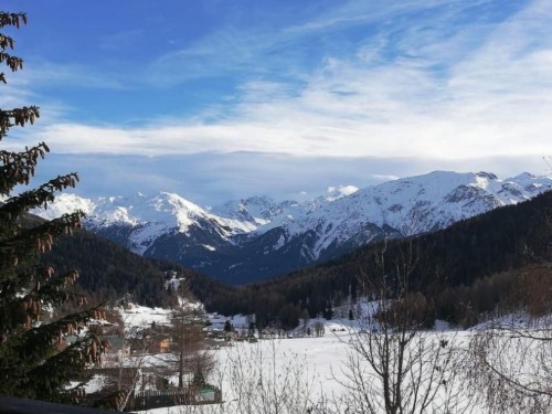 Holiday apartment - 4 persons -  - Tschierv - 7532