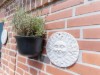 Bild 21