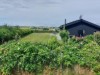Bild 19 - Ude
